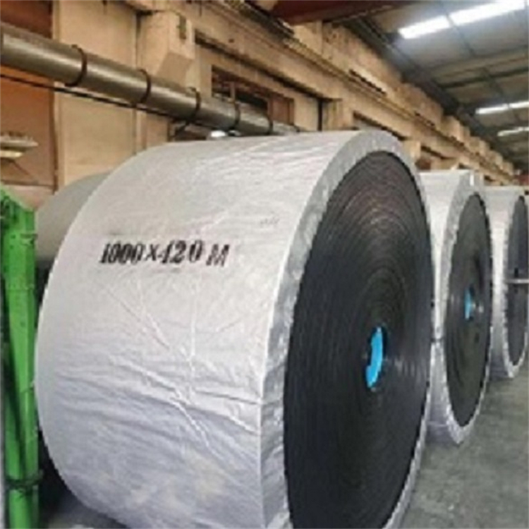 1745888036846880.jpg 橡膠輸送帶23.jpg