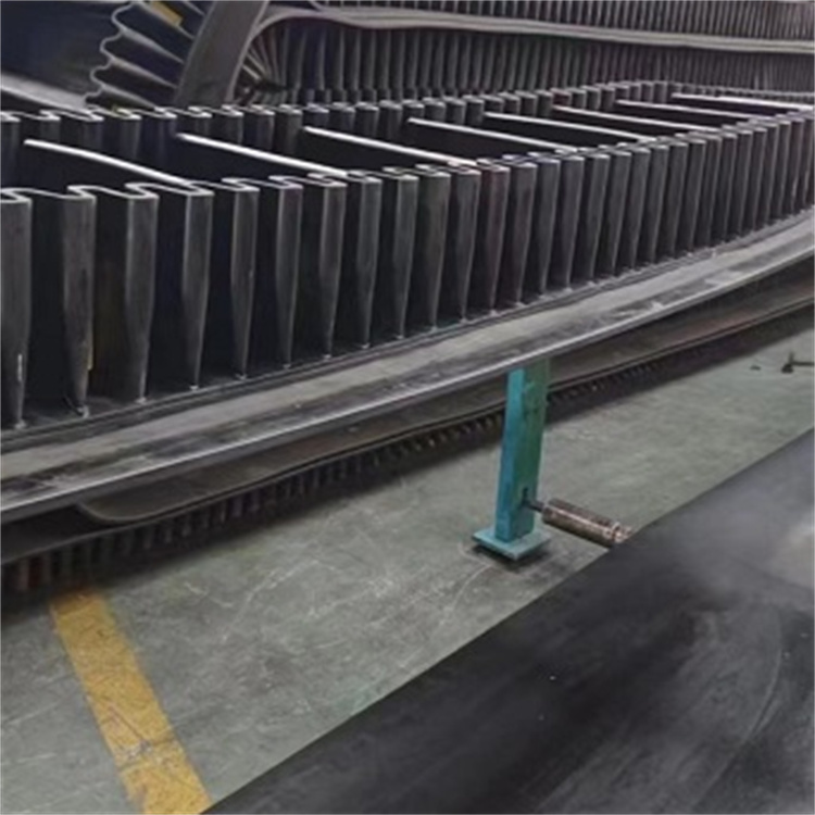 1747982097760622.jpg 大傾角擋邊帶6.jpg