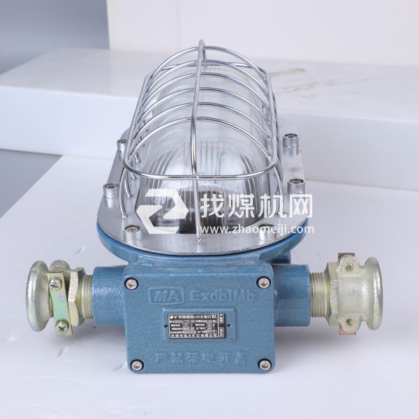 支架燈DGC18-36/127L