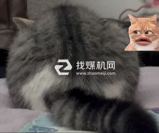 營(yíng)業(yè)執(zhí)照